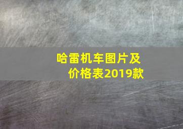 哈雷机车图片及价格表2019款