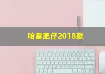 哈雷肥仔2018款