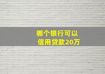 哪个银行可以信用贷款20万