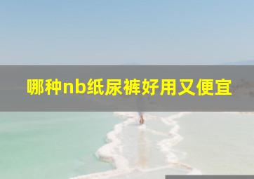 哪种nb纸尿裤好用又便宜