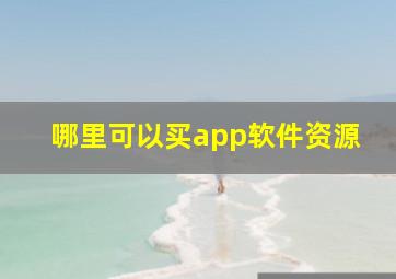 哪里可以买app软件资源