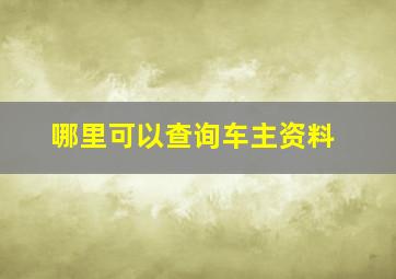 哪里可以查询车主资料