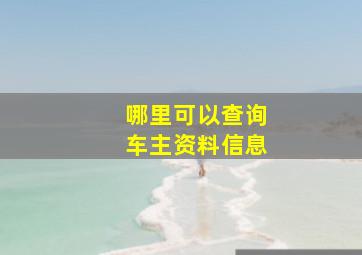 哪里可以查询车主资料信息