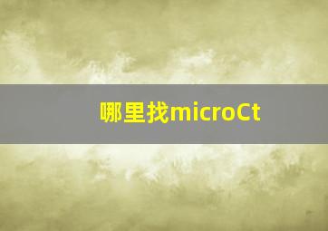 哪里找microCt