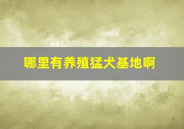 哪里有养殖猛犬基地啊