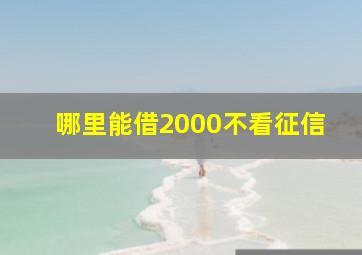 哪里能借2000不看征信