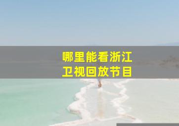 哪里能看浙江卫视回放节目