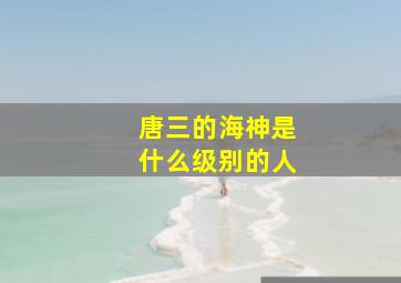 唐三的海神是什么级别的人