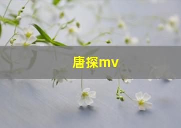 唐探mv