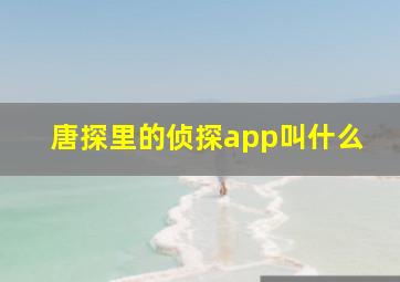 唐探里的侦探app叫什么