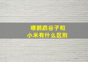 喂鹦鹉谷子和小米有什么区别