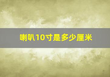 喇叭10寸是多少厘米