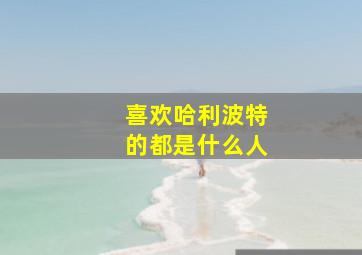 喜欢哈利波特的都是什么人