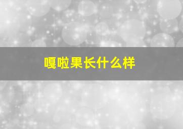 嘎啦果长什么样