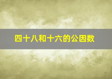 四十八和十六的公因数