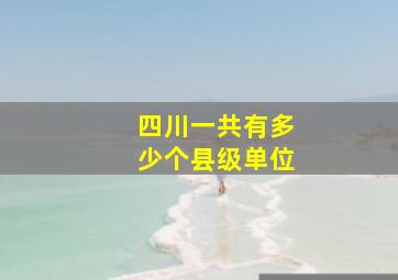 四川一共有多少个县级单位