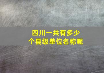 四川一共有多少个县级单位名称呢