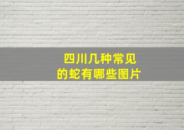 四川几种常见的蛇有哪些图片