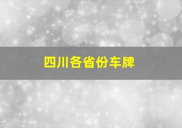 四川各省份车牌