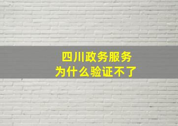 四川政务服务为什么验证不了