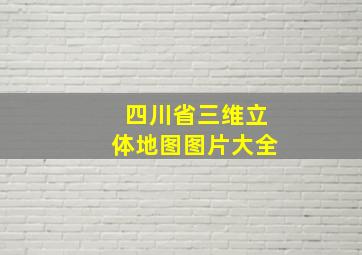 四川省三维立体地图图片大全