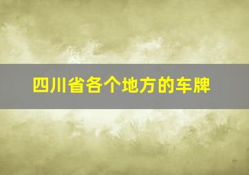 四川省各个地方的车牌