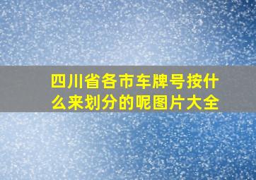 四川省各市车牌号按什么来划分的呢图片大全