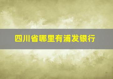 四川省哪里有浦发银行