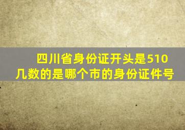 四川省身份证开头是510几数的是哪个市的身份证件号