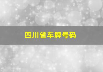 四川省车牌号码