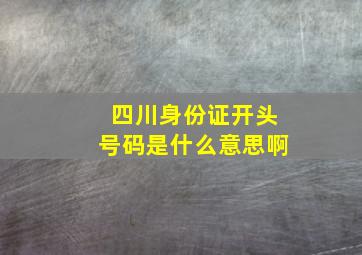 四川身份证开头号码是什么意思啊