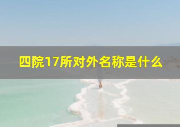 四院17所对外名称是什么