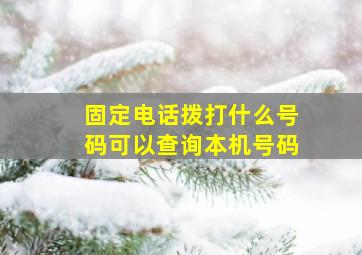 固定电话拨打什么号码可以查询本机号码