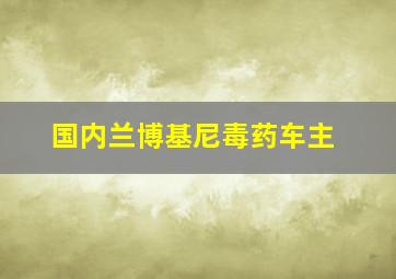 国内兰博基尼毒药车主