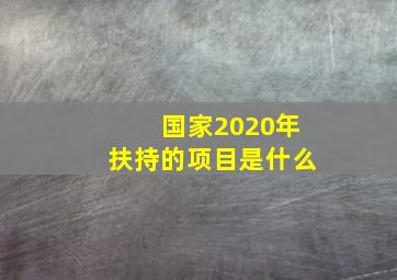 国家2020年扶持的项目是什么