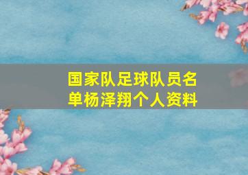 国家队足球队员名单杨泽翔个人资料