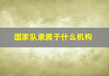 国家队隶属于什么机构