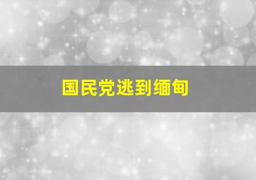 国民党逃到缅甸