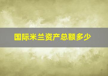 国际米兰资产总额多少