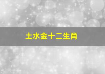 土水金十二生肖