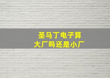 圣马丁电子算大厂吗还是小厂