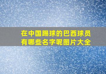 在中国踢球的巴西球员有哪些名字呢图片大全