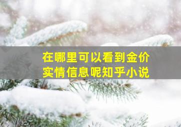 在哪里可以看到金价实情信息呢知乎小说