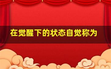 在觉醒下的状态自觉称为