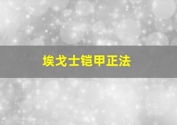 埃戈士铠甲正法