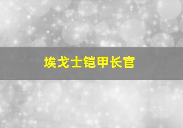 埃戈士铠甲长官