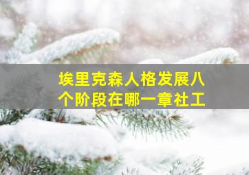 埃里克森人格发展八个阶段在哪一章社工