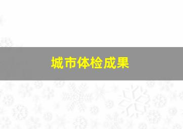 城市体检成果