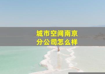 城市空间南京分公司怎么样