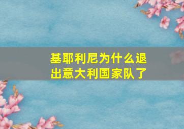 基耶利尼为什么退出意大利国家队了